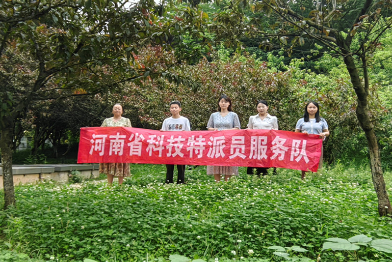特马