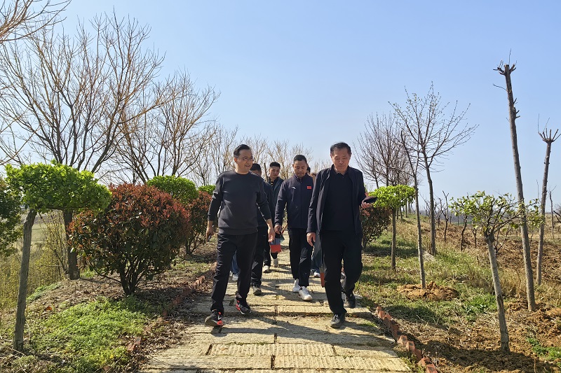 特马