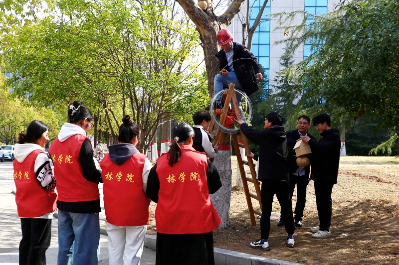 特马