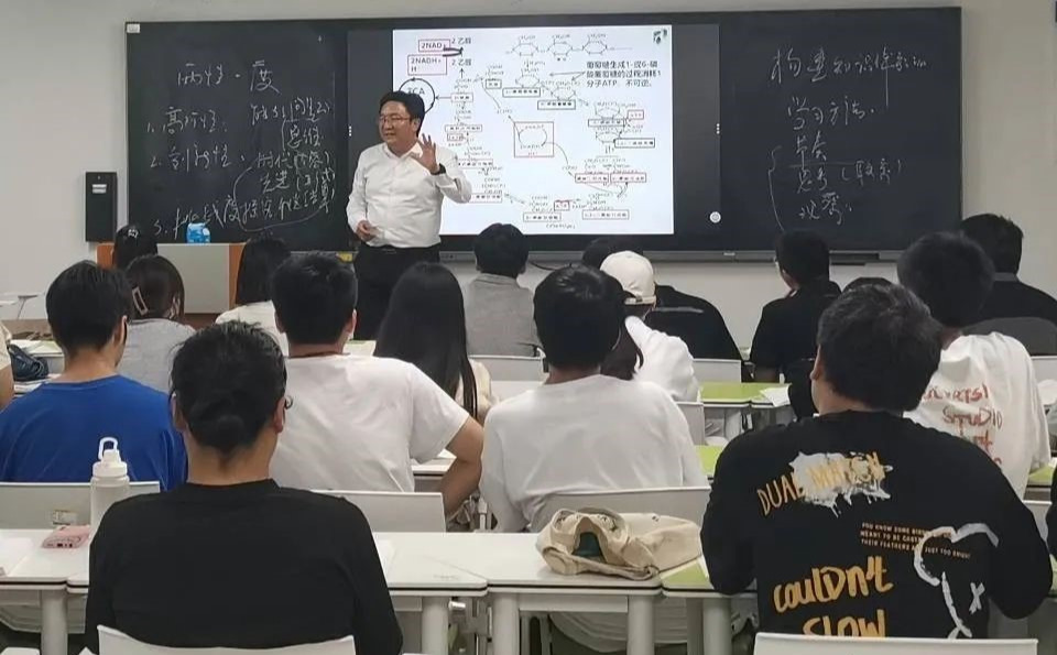 特马
