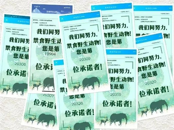 特马