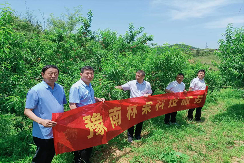 特马
