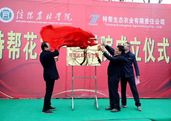 特马