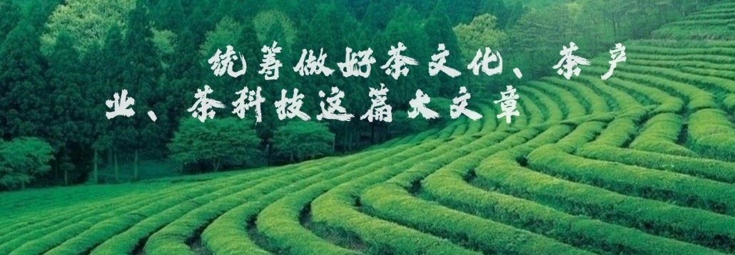 特马