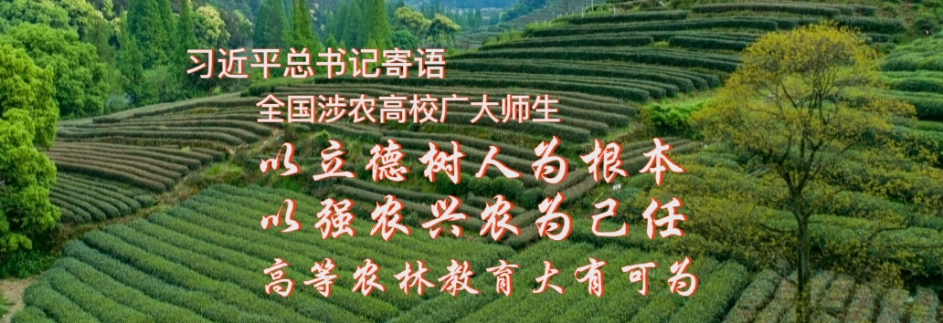 特马