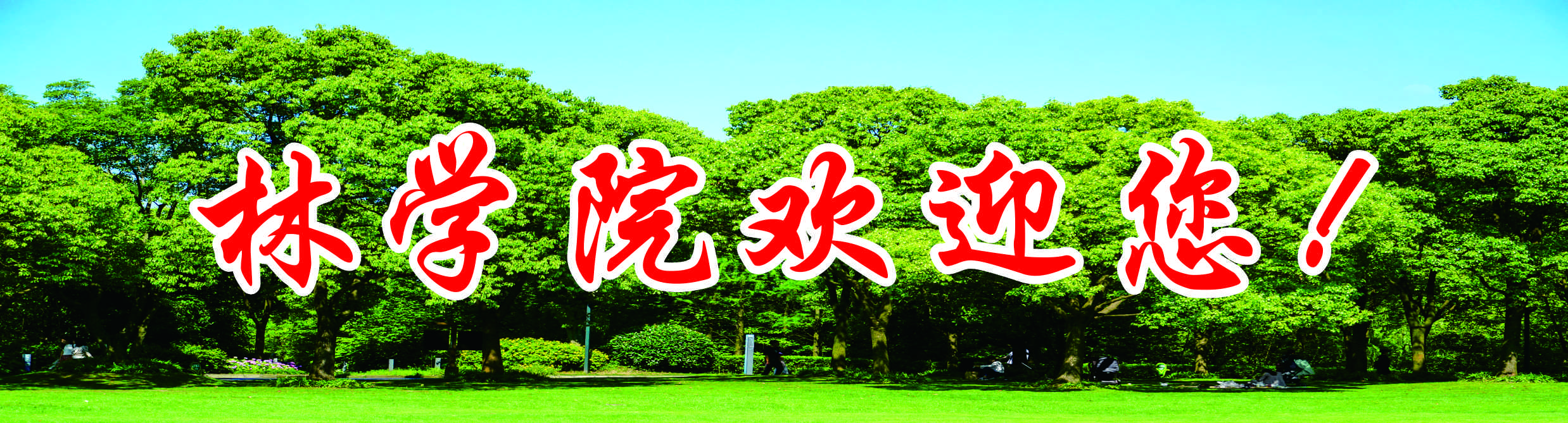 特马